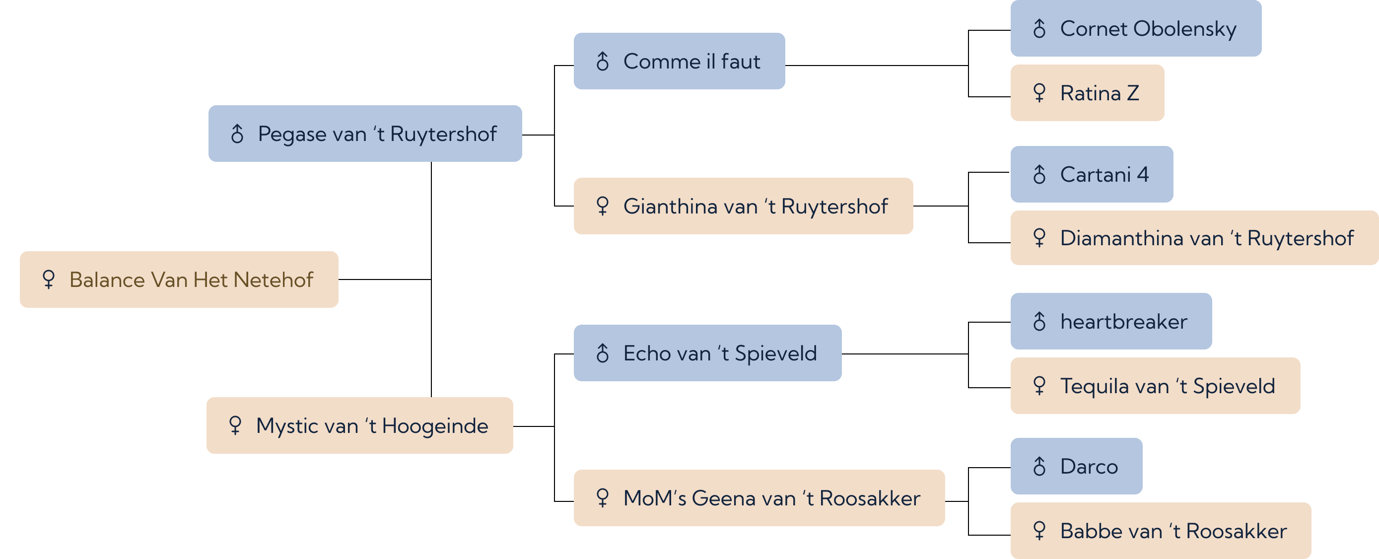 bloedlijn Balance Van Het Netehof