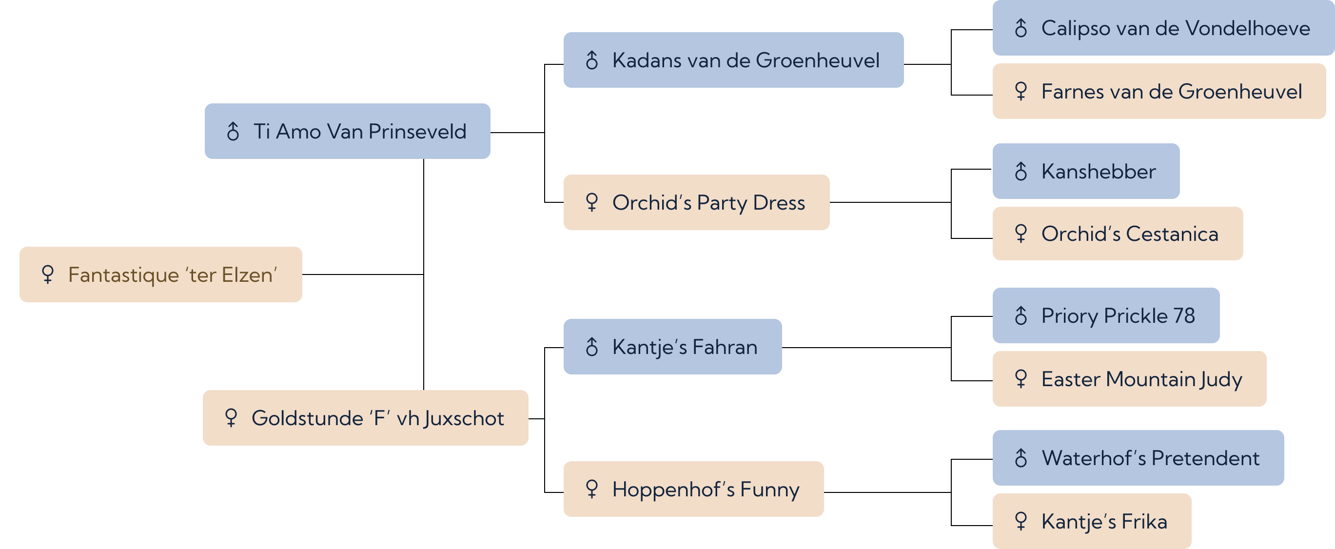 bloedlijn Fantastique ‘ter Elzen’