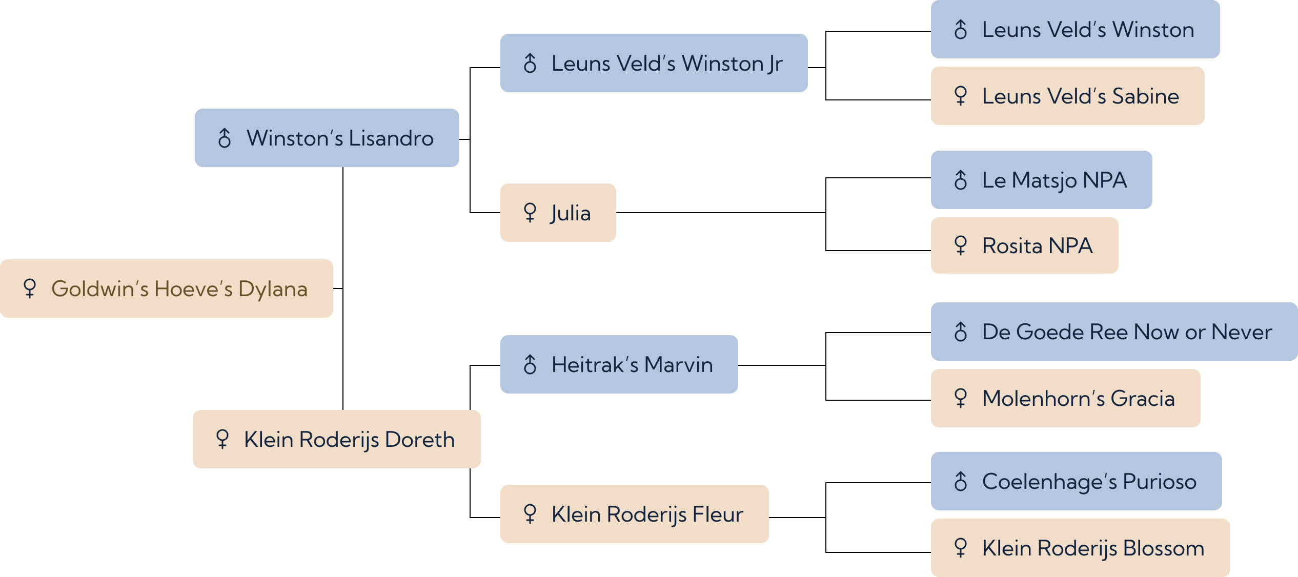 bloedlijn Goldwin's Hoeve's Dylana