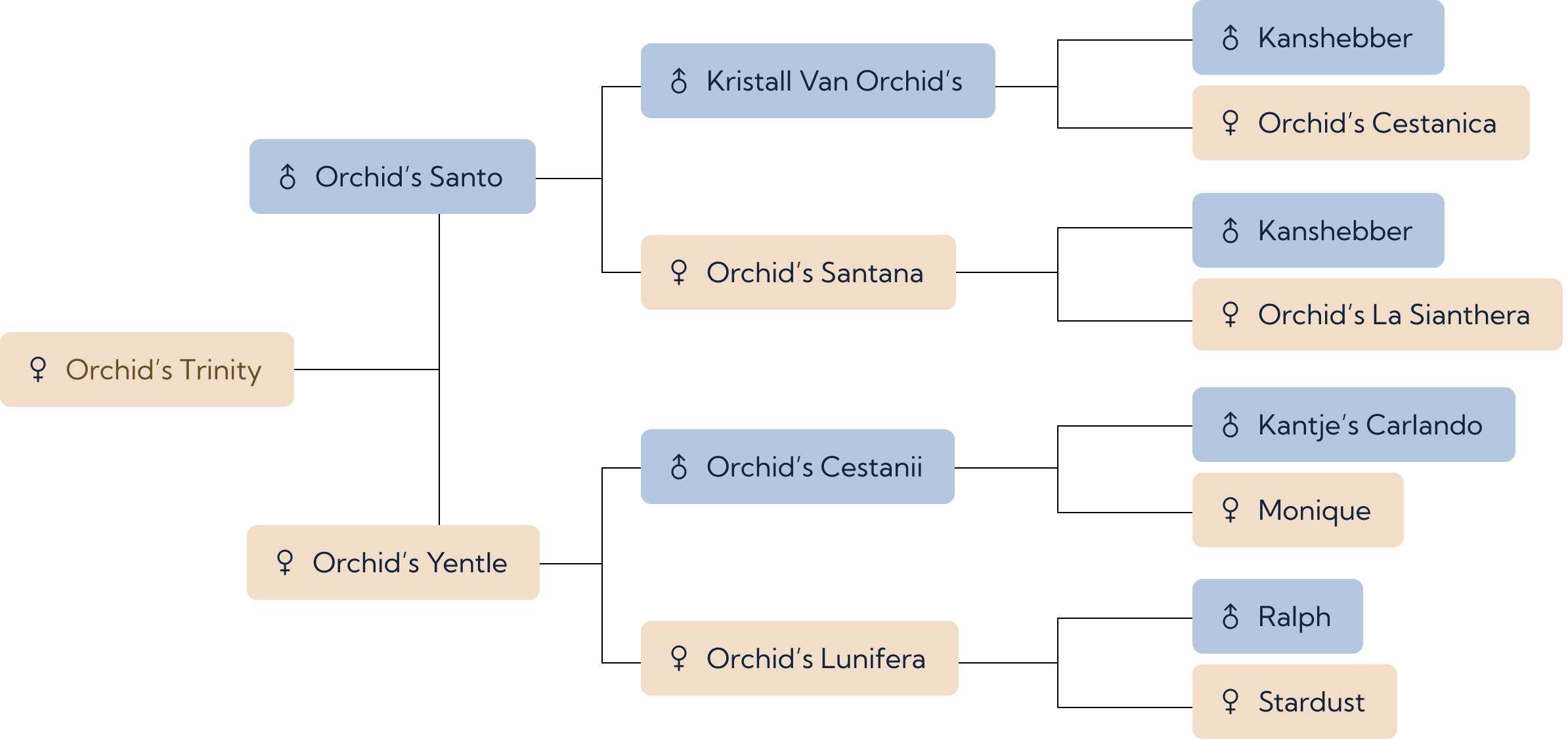 bloedlijn Orchid's Trinity